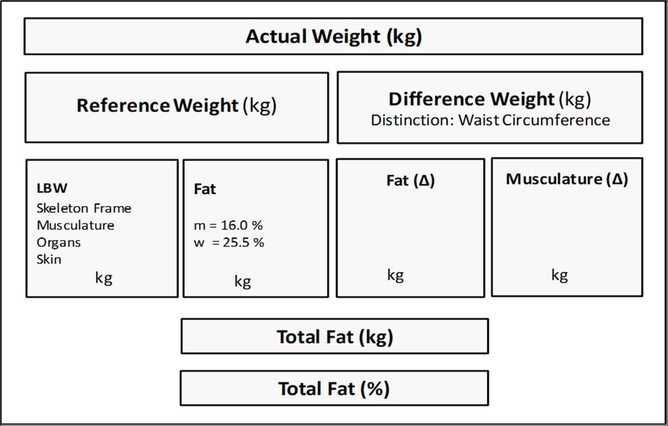System of the DBA model.