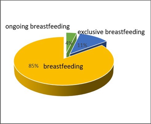 Figure 3. Breastfeeding mode