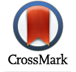 CrossMark